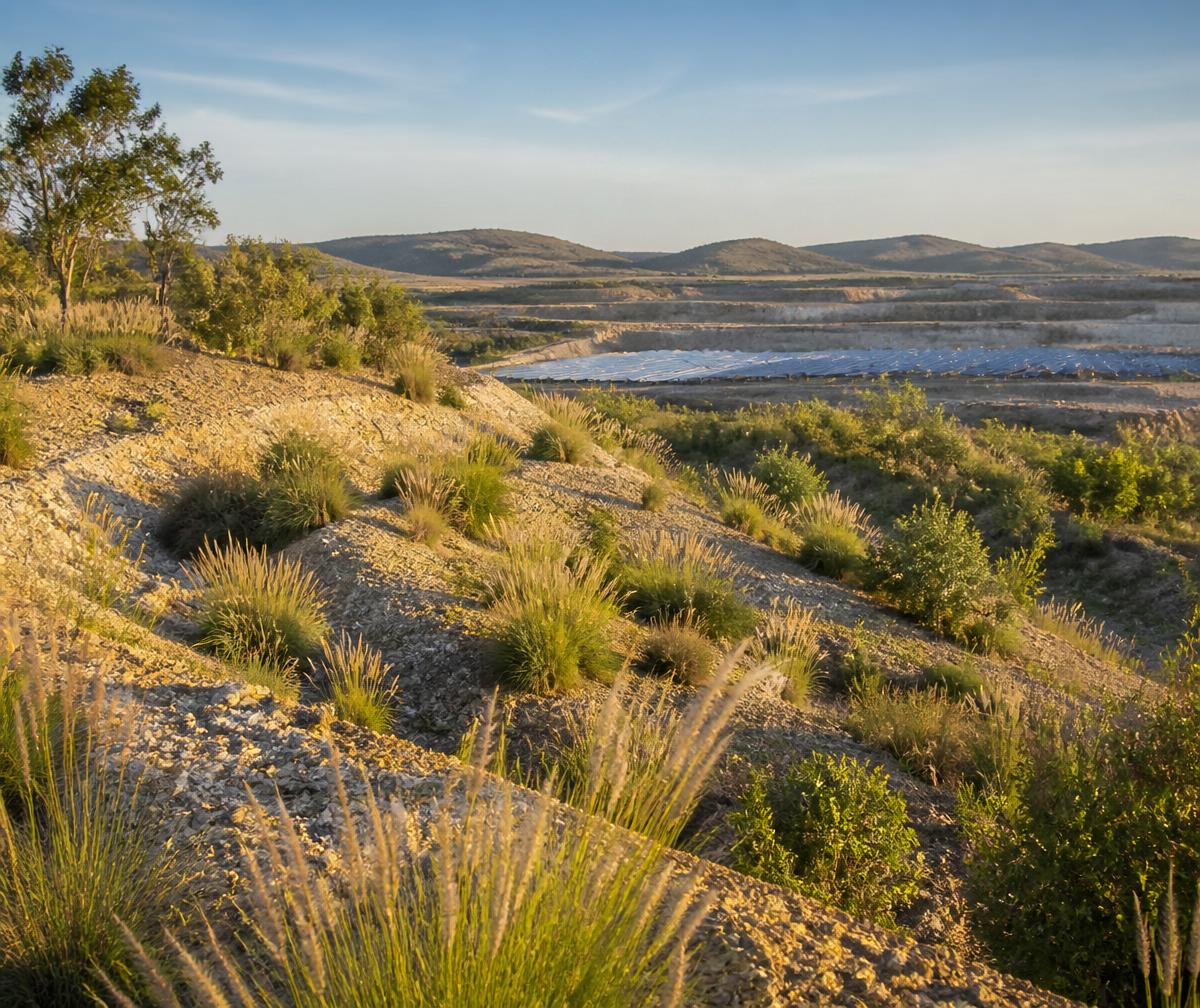 Rehabilitated arid land with returning vegetation and solar panels